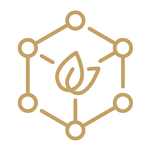 A minimalist golden logo featuring a leaf inside a hexagonal molecular structure.