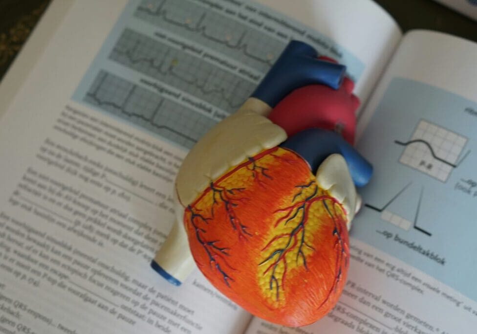 heart and text book